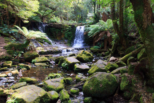 istock Horseshoe Falls - Mount Field National Park 1145800651