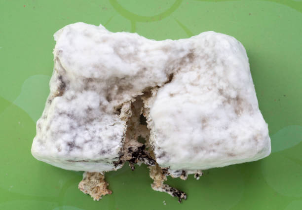istock Mold on bread. Black fungus. Macro photo. Selective focus. View from above 1145801407