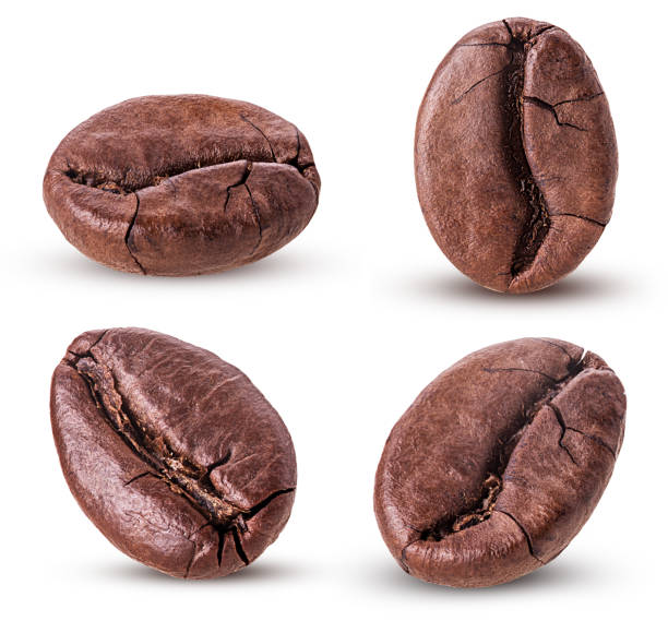 установить жареные кофейные зерна изолированы на белом - coffee bean coffee crop espresso mocha стоковые фото и изображения