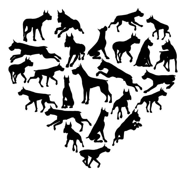 위대한 덴마크 개 심장 실루엣 개념 - heart shape animal heart love symbol stock illustrations