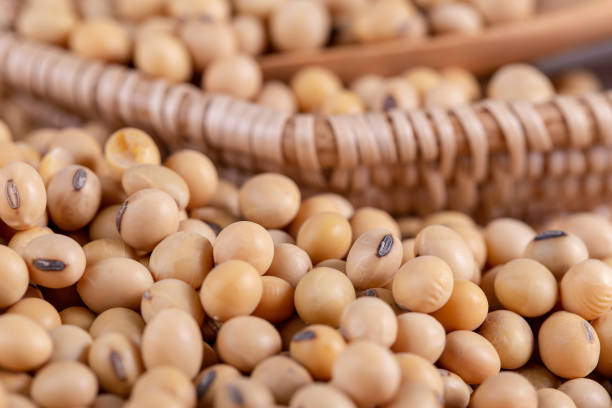 istock Soybean oil on a wooden background. rustic style 1145802047