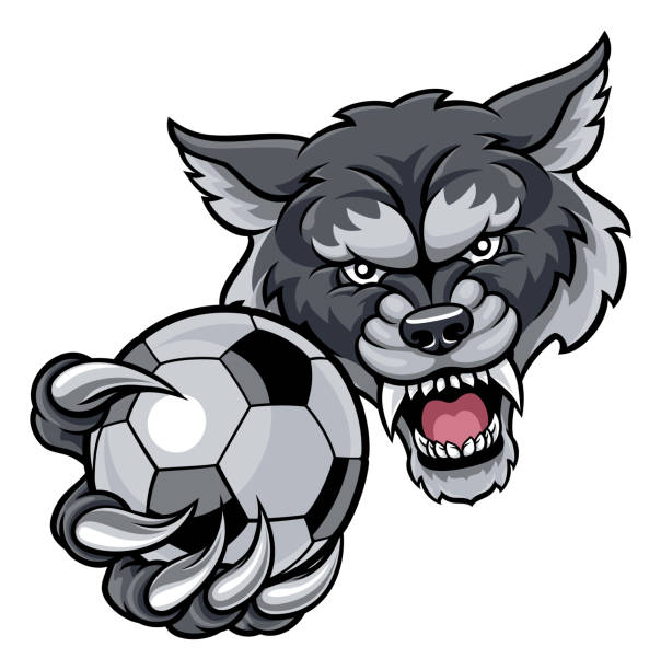 늑대 지주 축구 축구공 마스코트 - wolf mascot vector gray wolf stock illustrations