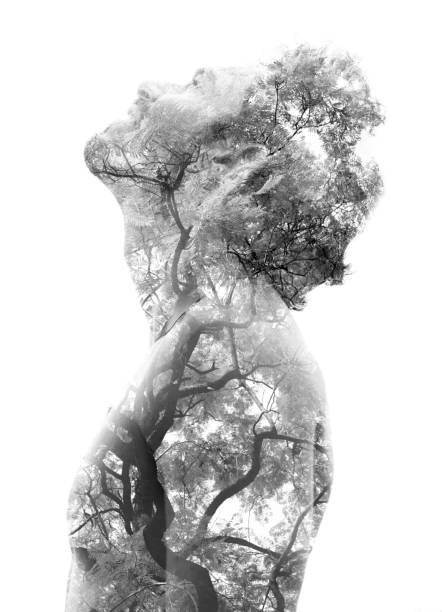 Double exposure of a young bare-chested man's portrait blended with tree branches and leaves, showing the perfect beauty of nature's creation, black and white stock photo