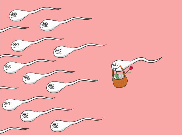 Funny Sperm Illustrations, Royalty-Free Vector Graphics & Clip Art - iStock Funny Sperm Illustrations, Royalty-Free Vector Graphics & Clip Art - iStock