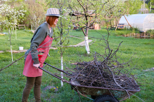 istock Woman working in garden in early spring 1145812484