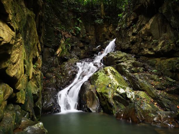 istock Silky smooth waterfall stream in the rainforest jungle Sabah, Borneo. 1145815626