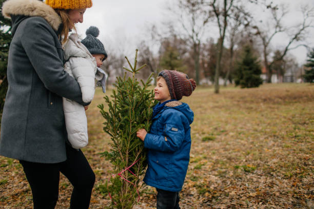 istock Mom and her boys carrying home their Christmas tree 1145815873