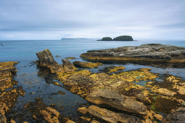 paesaggio drammatico del litorale di ballintoy harbor in irlanda del nord - scenics coastline uk moss foto e immagini stock