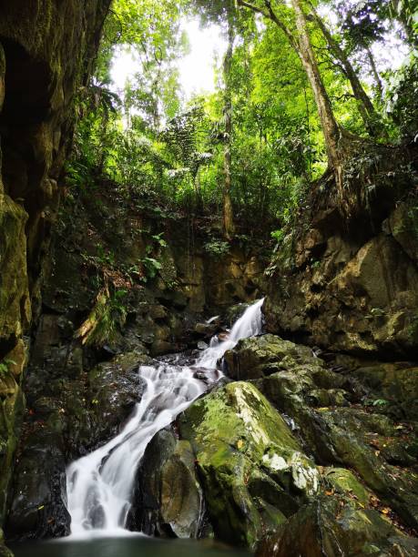 istock Silky smooth waterfall stream in the rainforest jungle Sabah, Borneo. 1145830518