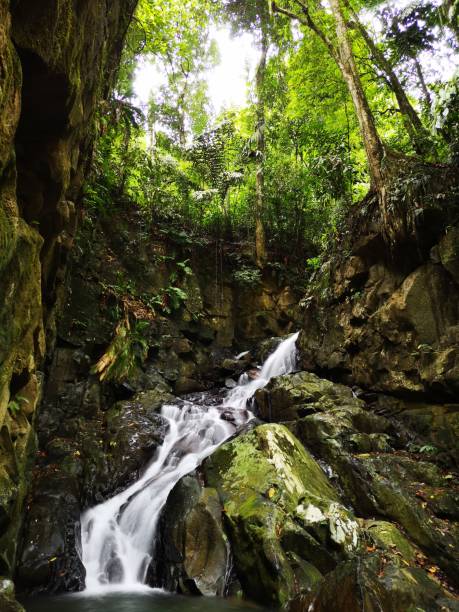 istock Silky smooth waterfall stream in the rainforest jungle Sabah, Borneo. 1145831091