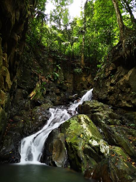 istock Silky smooth waterfall stream in the rainforest jungle Sabah, Borneo. 1145831437