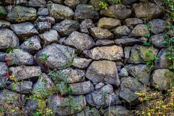 Outdoor nature. Old weathered and worn stone wall with green plants. Horizontal composition.
