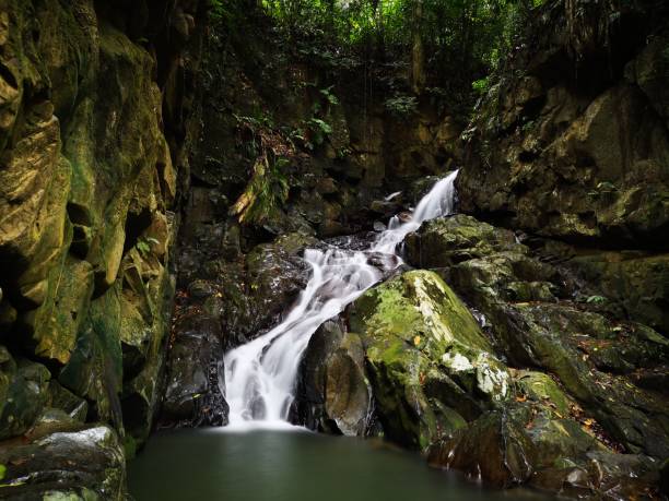 istock Silky smooth waterfall stream in the rainforest jungle Sabah, Borneo. 1145832593