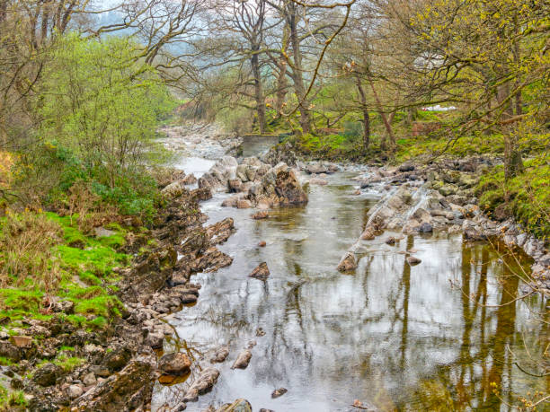 istock The clear water of the  River Mawddach flows gently over rocks 1145832637