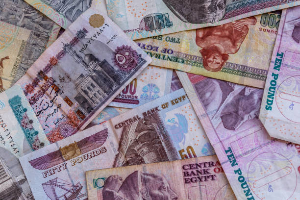 istock Heap of the different egyptian banknotes for background 1145833018