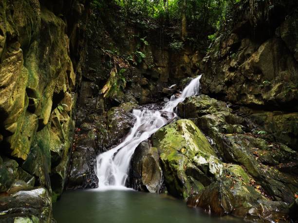 istock Silky smooth waterfall stream in the rainforest jungle Sabah, Borneo. 1145833138