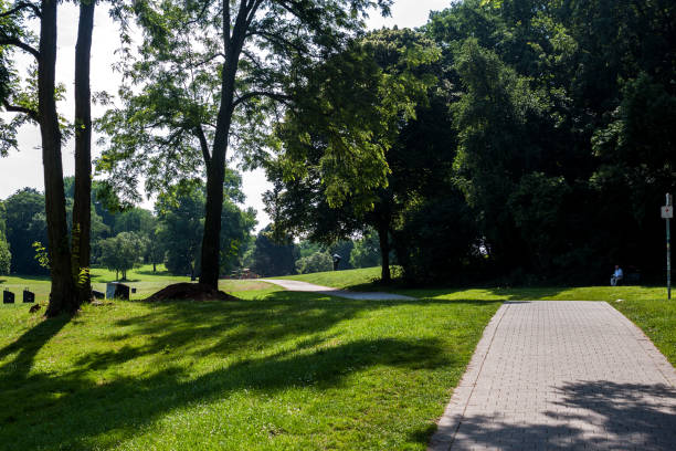 istock Beautiful park scene in public park 1145833148