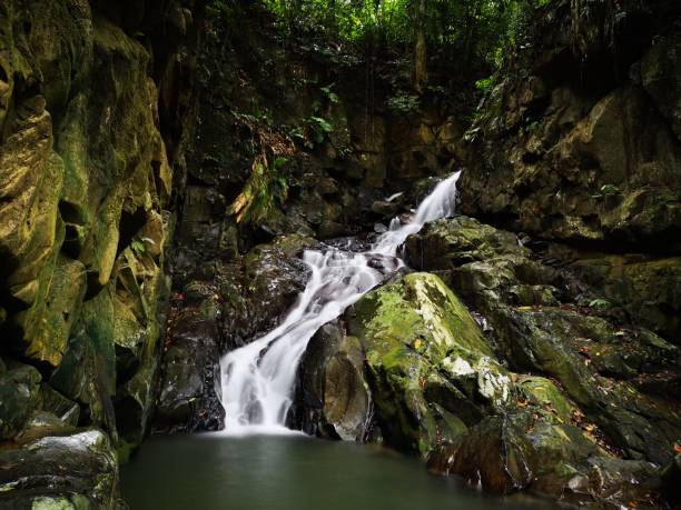 istock Silky smooth waterfall stream in the rainforest jungle Sabah, Borneo. 1145833304