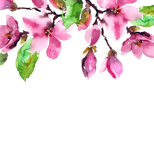 istock Pink magnolia branch. Floral border. Floral wedding invitation design. Cherry blossom background. 1145835609