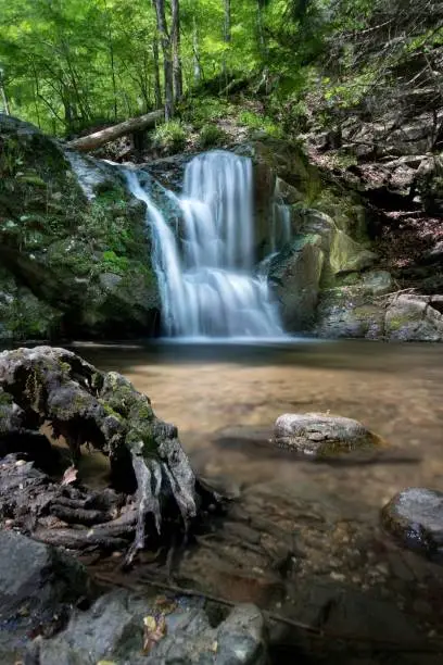 Photo of Patapsco Valley State Park - Cascade Falls