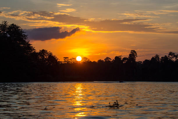 istock Malaysia: Sunset Over Kinabatangan 1145841852
