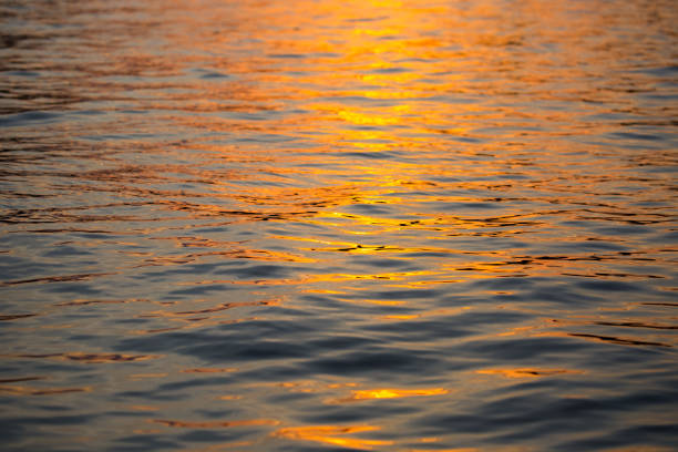 istock Malaysia: Sunset Over Kinabatangan 1145842176