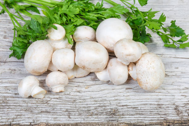 istock Uncooked button mushrooms with parsley on an old wooden surface 1145844705