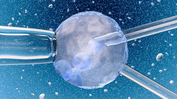 ilustração 3d: inseminação artificial: agulha de vidro que fertiliza um ovo fêmea na obscuridade-fundo azul com bolhas. conceito médico - fecundidade humana - fotografias e filmes do acervo