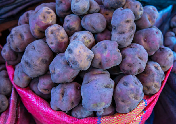 cesta de batatas roxas, peru - peruvian potato - fotografias e filmes do acervo