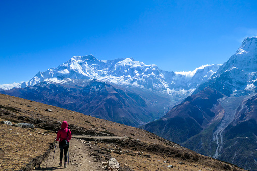 Trekking girl on the way to Ice lake, Annapurna Circuit Trek, Nepal. Girl supports herself on the trekking sticks. Dry trails with small rocks on it. In front high and snowy Himalayan mountain.