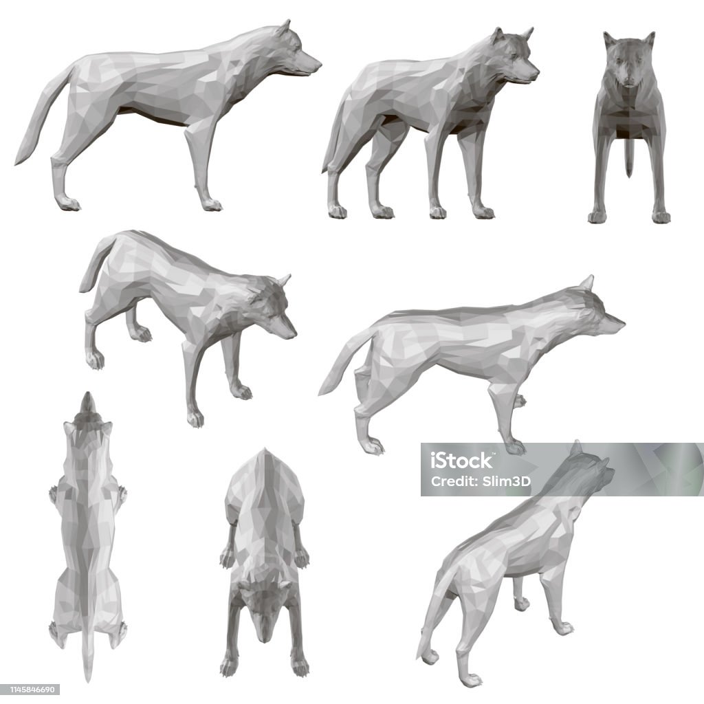 Set with coyote in different positions. Polygonal coyote in gray. 3D. Vector illustration Set with coyote in different positions. Polygonal coyote in gray. 3D. Vector illustration. Dog stock vector
