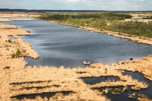 Marshlands in Fochteloërveen Nature Reserve (The Netherlands).