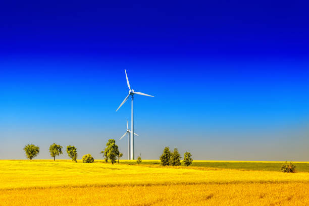 Wind alternative and sustainable energy in the field