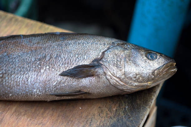 открытый рыбный рынок - coryphaena стоковые фото и изображения