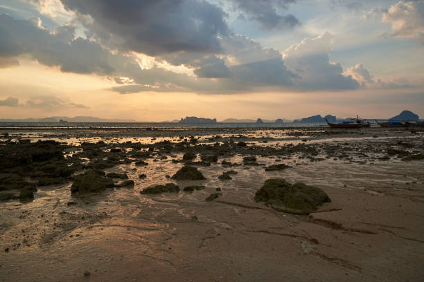istock Scene of sunset at the beach during low tide 1145851303