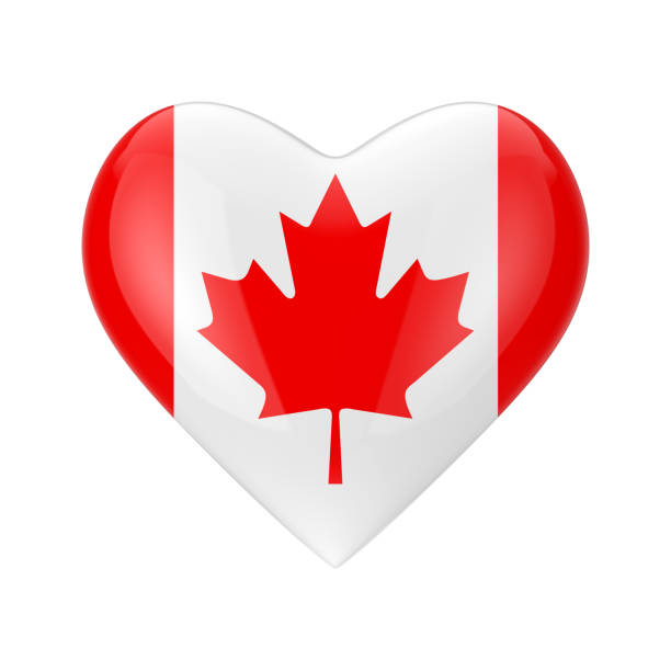 istock Love Canada Concept. Canada Flag in Shape of Heart. 3d Rendering 1145851381