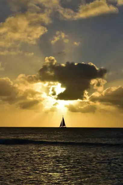 Sailing sailboat under the setting sun in Aruba.