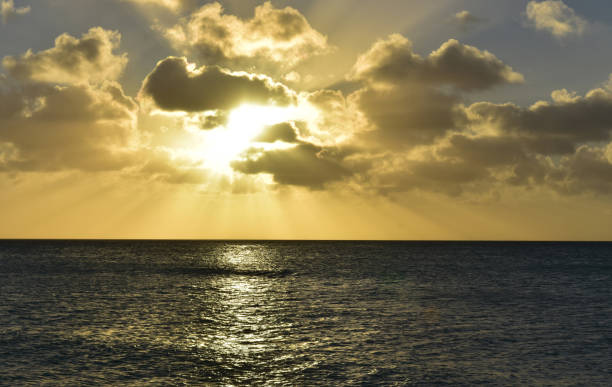 istock Stunning Sunset Over the Ocean in Aruba 1145852585