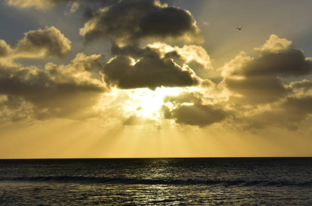 istock Stunning Sunset Over the Ocean in Aruba 1145853934