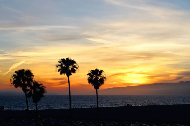 istock Sunset at Santa Monica Beach, California 1145855683