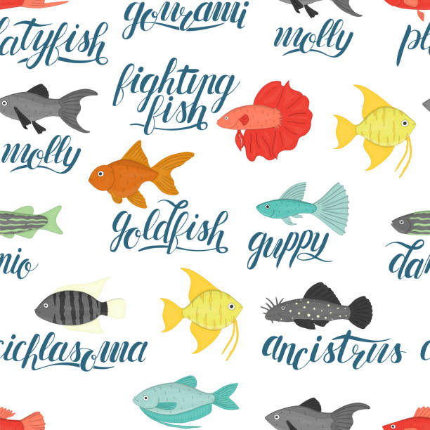 Molly Fish Graphics 90+ Molly Fish Stock Illustrations, Royalty-Free Vector Graphics & Clip ...