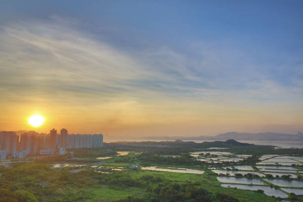 istock Tin Shui Wai,  1 June 2014 Hong Kong 1145857554