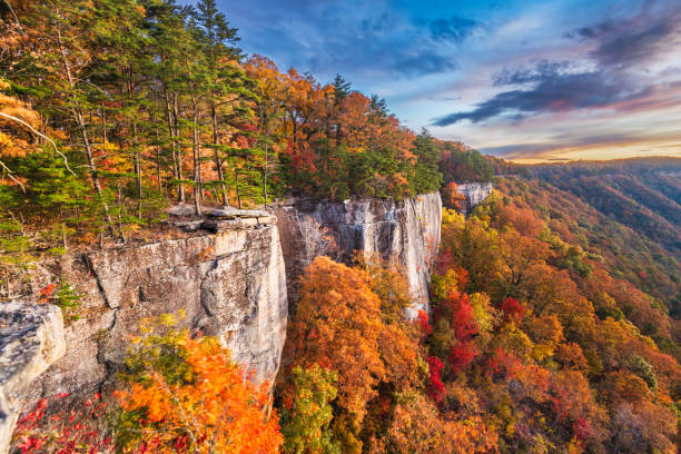 New River Gorge, West Virgnia, USA autumn morning New River Gorge, West Virgnia, USA autumn morning lanscape at the Endless Wall. ravine photos stock pictures, royalty-free photos & images