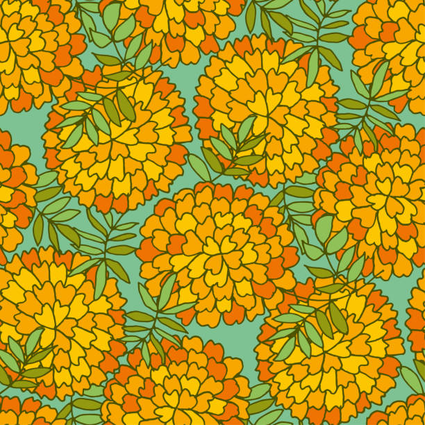 ilustrações de stock, clip art, desenhos animados e ícones de marigold flower seamless pattern - erecta
