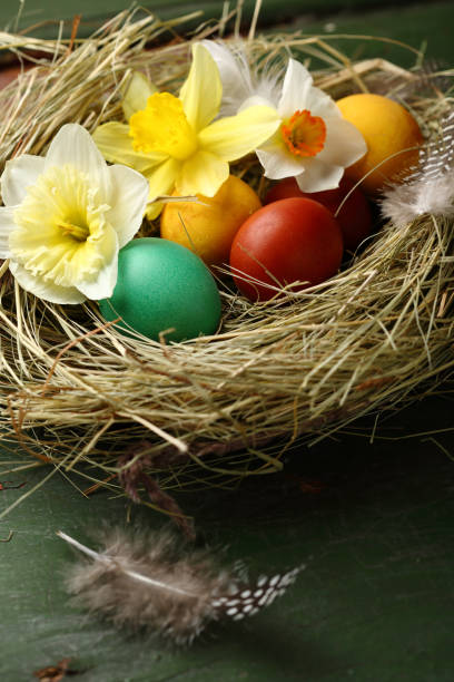 istock Green Happy Easter nest with colorful eggs 1145858865
