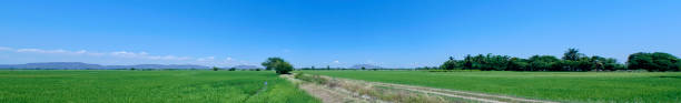 istock Green field view with sky clouds in thailand 1145859074