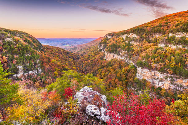 cloudland canyon, georgia, paesaggio autunnale degli stati uniti - cumberland river foto e immagini stock