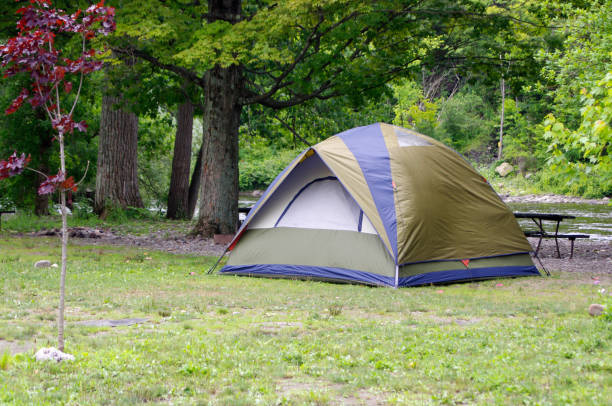 istock Green Tent on campsite 1145862557