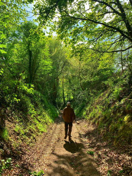istock Man walking on a trail through the forest in springtime 1145862697