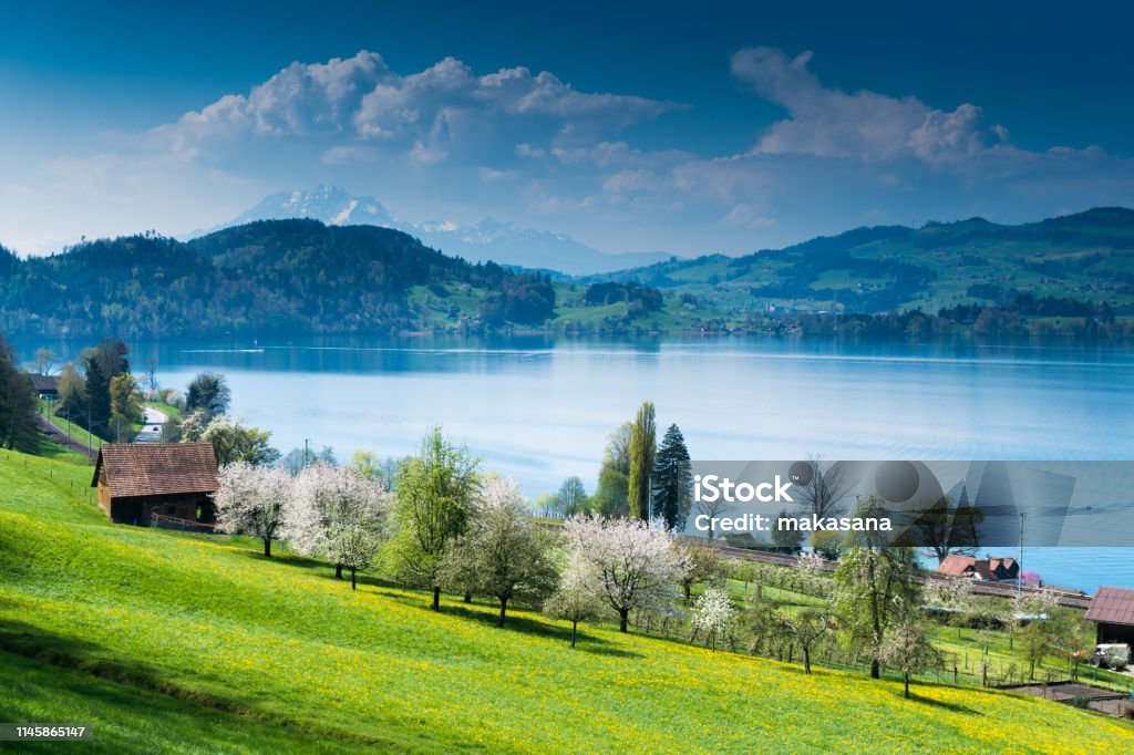 idyllic Swiss country mountain landscape with farms lake and mountains in the distance view of picturesque Swiss mountain and lake landscape at the Zugersee Lake in central Switzerland on a beautiful spring day Lake Zug Stock Photo